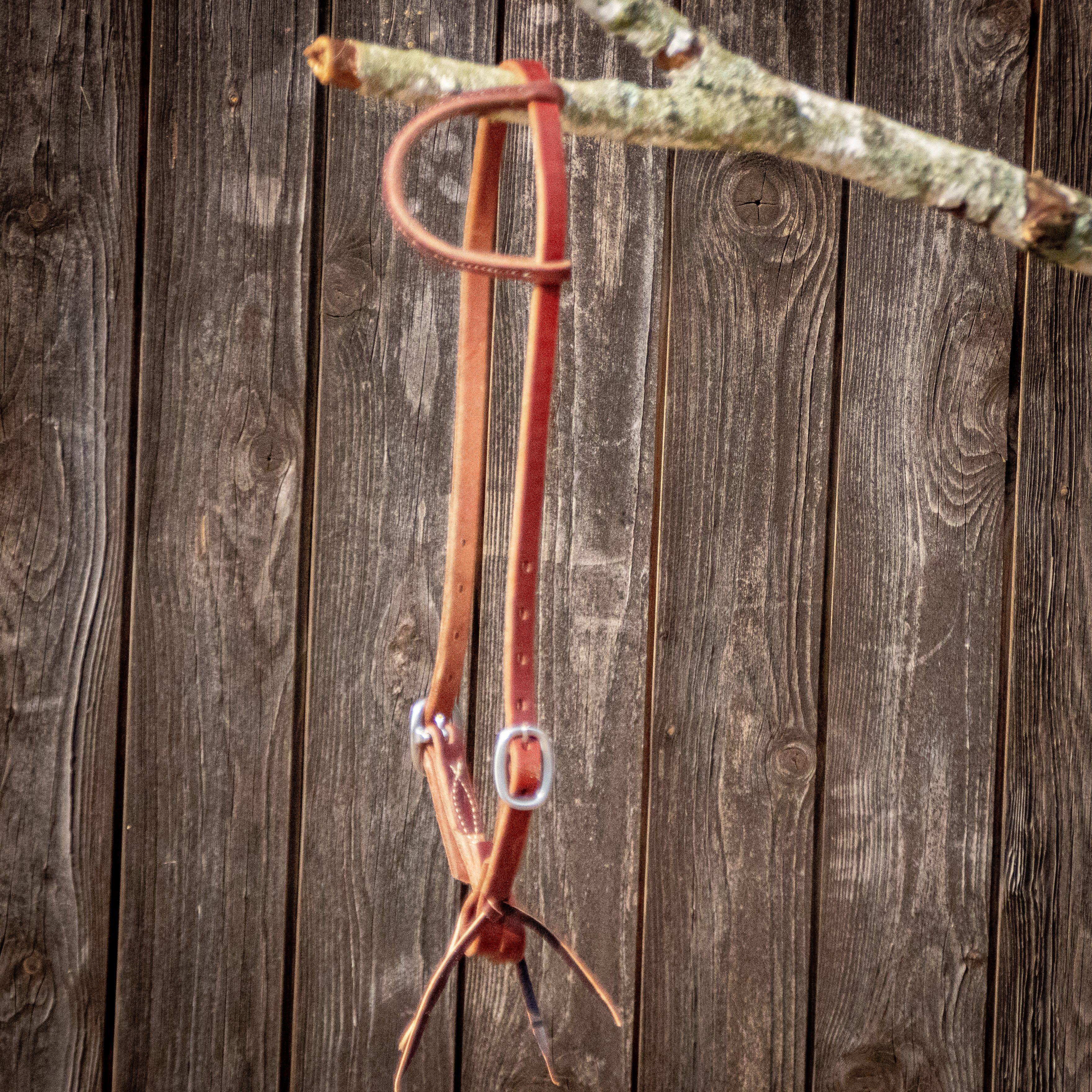 Weaver Working Bridle Einohr