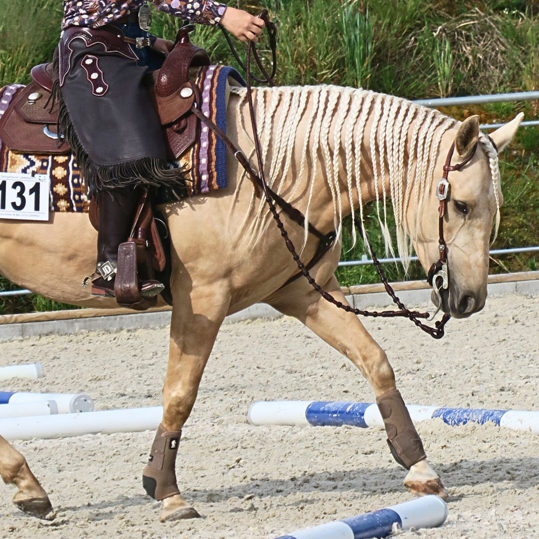 Rund Geflochtene Zweiohrtrense Dunkel