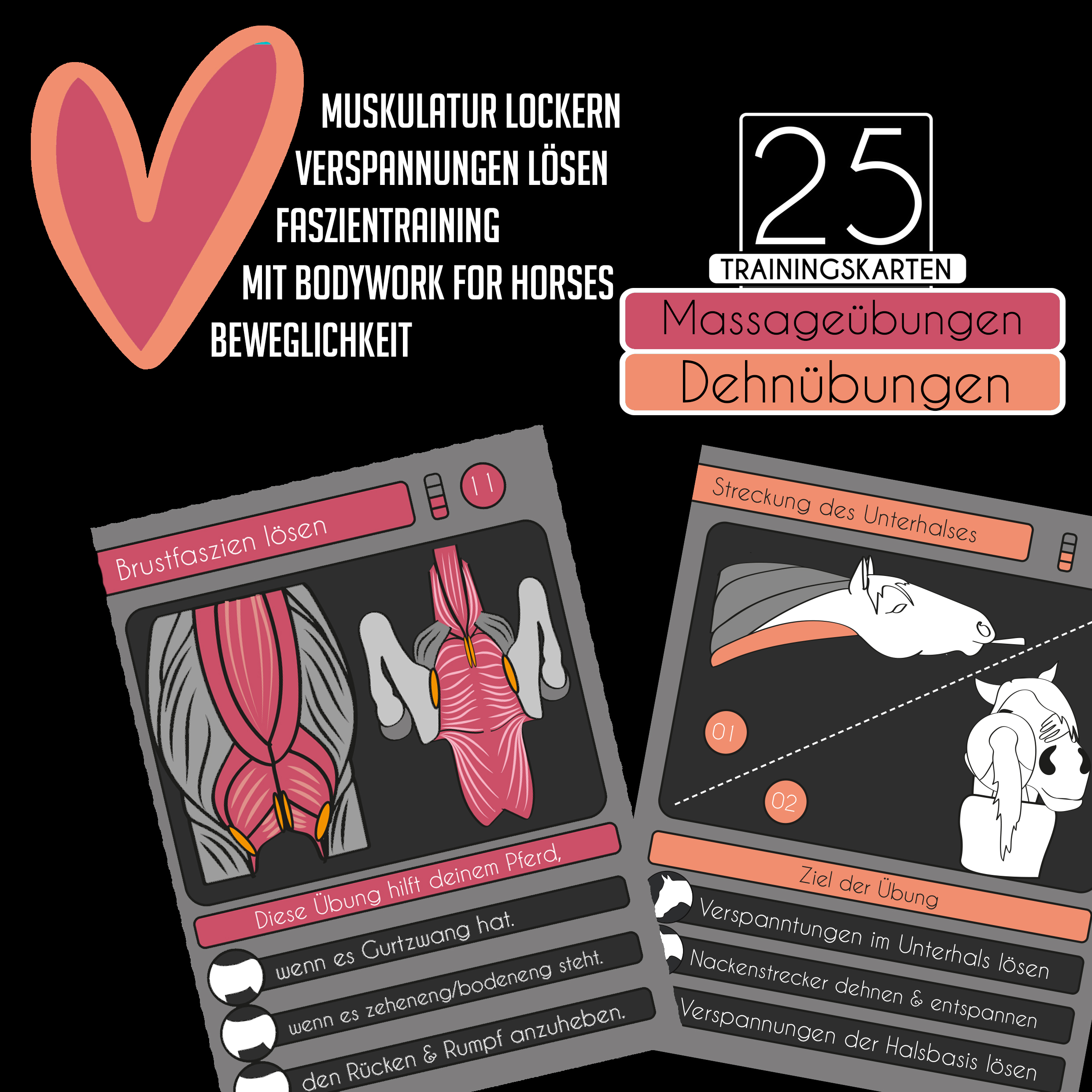 Dehn- und Massageübungen 25 Trainingskarten